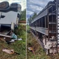 Caminhoneiro morre em acidente e carga de bois se espalha pela BR-158 em Três Lagoas