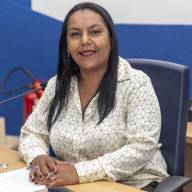 Em Três Lagoas vereadora Sirlene indica revitalização em canteiro e substituição de árvores