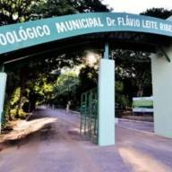 Projeto prevê transformar Zoológico de Araçatuba em parque e manter os animais