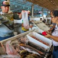 SEDECTI abre cadastro para comerciantes sem vínculo com a Feira Central participarem da Feira do Peixe 2026 em Três Lagoas