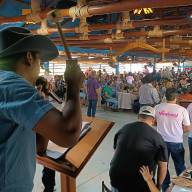Recorde de arrecadação marca o 9º Leilão pró-APAE de Andradina na Comitiva Poeira Alta