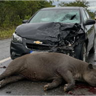 Acidente na BR-262 com veículo da Prefeitura de Três Lagoas deixa paciente em estado grave