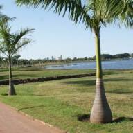 Jovem denuncia idoso por suposto ato obsceno e diz ter filmado situação na Lagoa Maior em Três Lagoas