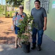 MEIO AMBIENTE REALIZA DOAÇÃO DE MUDA FRUTÍFERA PARA FORMAÇÃO DE POMAR URBANO  EM ANDRADINA 