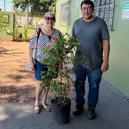 MEIO AMBIENTE REALIZA DOAÇÃO DE MUDA FRUTÍFERA PARA FORMAÇÃO DE POMAR URBANO  EM ANDRADINA 