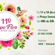 Van estaria vindo do Paraguai para Três Lagoas com munições, simulacros e remédios e sacoleira tenta jogar no vaso e acaba entupindo