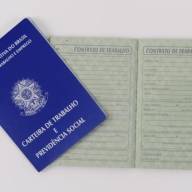 Governo de Andradina com seus 200 assessores e assessor na hora do expediente vai para Brasília para apoiar a candidatura de Lula