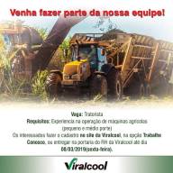 Frente de Trabalho da Prefeitura Municipal de Andradina faz limpeza do Cemitério