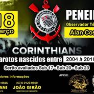 Com 11 Assinaturas Câmara de Andradina abre CEI para investigar compra de área às margens do Rio Tietê para possível instalação de Parque Aquático