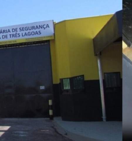 Presídio proíbe ração para gatos e protetoras se revoltam em Três Lagoas; 12 dias com fome