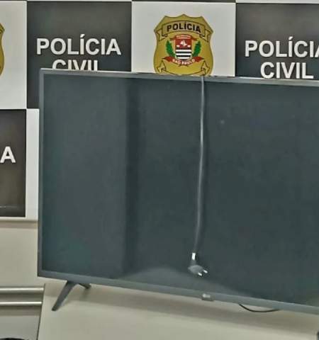 Polícia Civil de Castilho recupera televisão furtada