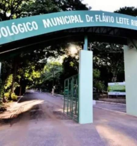Projeto prevê transformar Zoológico de Araçatuba em parque e manter os animais
