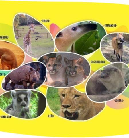 Animália Park é a nova atração de lazer e entretenimento de Cotia