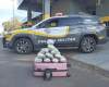 POLICIA RODOVIÁRIA ESTADUAL PRENDE HOMEM POR TRÁFICO DE DROGA EM RODOVIA DE PENÁPOLIS