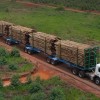 Suzano abre vagas de condutora de veículo florestal exclusivas para mulheres em Brasilândia e Três Lagoas