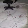 Vigilantes são alvos de atirador e um acaba baleado em Três Lagoas