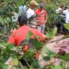 10ª macarronada da Santa Casa de Penápolis é hoje dia 06 de setembro