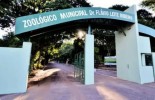 Projeto prevê transformar Zoológico de Araçatuba em parque e manter os animais