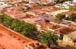 MERCADÃO EM ANDRADINA “Sete Copas” serão substituídas por outras espécies