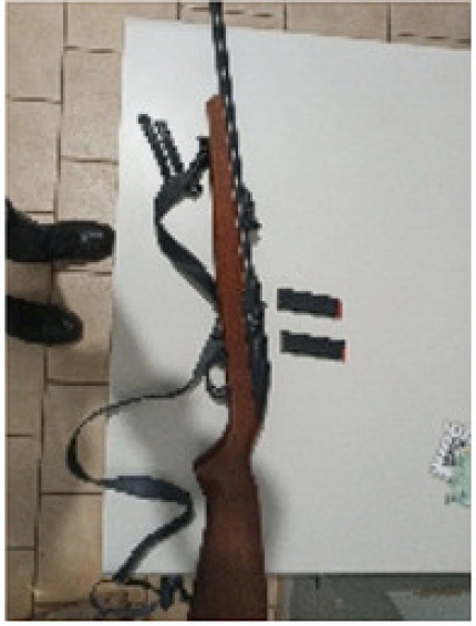 EM APOIO AO PODER JUDICIÁRIO POLÍCIA MILITAR APREENDE DUAS ARMAS DE FOGO EM PENÁPOLIS