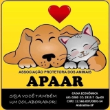 Associação Protetora dos Animais de Andradina e Região é selecionada para parceria