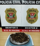 POLÍCIA CIVIL APREENDE PORÇÃO DE MACONHA APÓS INVESTIGAÇÃO DE DENÚNCIA ANÔNIMA EM DRACENA