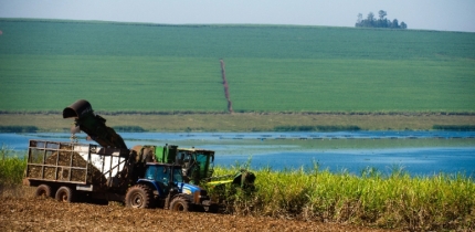 Feirão da Raízen será nesta quarta-feira em Andradina com oportunidades na área agrícola