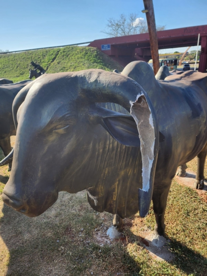 Monumento ao “Rei do Gado” é depredado por criminosos em Andradina
