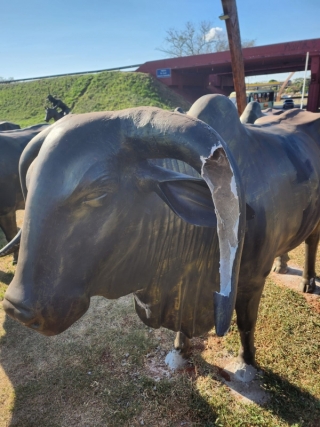 Monumento ao “Rei do Gado” é depredado por criminosos em Andradina