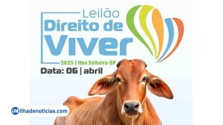 EM ILHA SOLTEIRA 15º LEILÃO “DIREITO DE VIVER” SERÁ REALIZADO EM ABRIL; GRUPO JÁ BUSCA DOAÇÕES