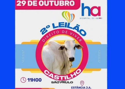 HOSPITAL DE AMOR: Castilho realiza 2º Leilão de Gado “Direito de Viver” no próximo domingo