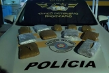 Em Araçatuba TOR apreende 6,5 Kgs. de droga Skunk em ônibus na rodovia Marechal Rondon