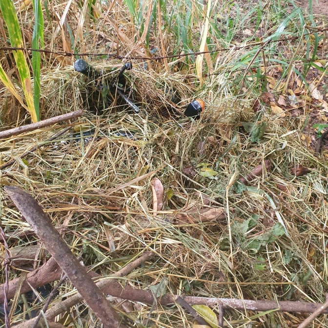 DEIC de Rio Preto recupera motocicleta furtada em Poloni/SP e identifica os autores