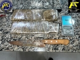 FORÇA TÁTICA DE ANDRADINA PRENDE TRAFICANTE  COM MAIS DE 1KG DE MACONHA NA RODOVIA MARECHAL RONDON