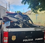 AÇÃO DE POLICIA JUDICIÁRIA “CAVALO DE AÇO”: POLÍCIA CIVIL APREENDE MOTOCICLETA COM SINAIS DE ADULTERAÇÃO DURANTE CUMPRIMENTO DE MANDADO EM DRACENA