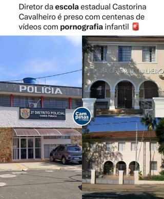 2° DP de Campinas prendeu diretor de escola estadual por armazenar centenas de vídeos de pornografia infantil