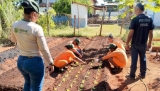 Curso em horticultura qualifica reeducandas de Três Lagoas