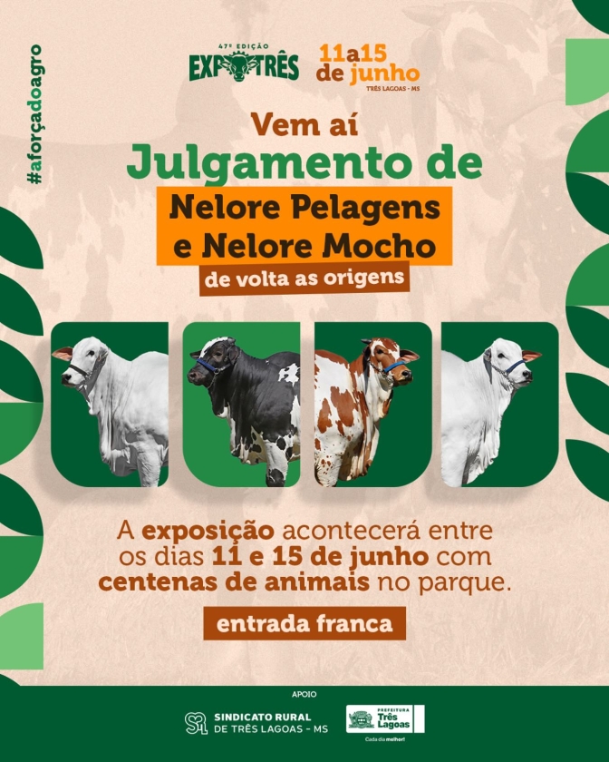 Sindicato Rural de Três Lagoas está de volta as origens e promove o Julgamento de Nelore