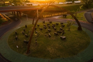 IPTU 2025 DE ANDRADINA: 1ª parcela vence dia 15. Carnê não será entregue em casa