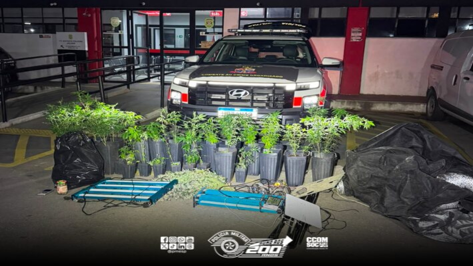 PM desmantela laboratório de maconha na zona norte de São Paulo  